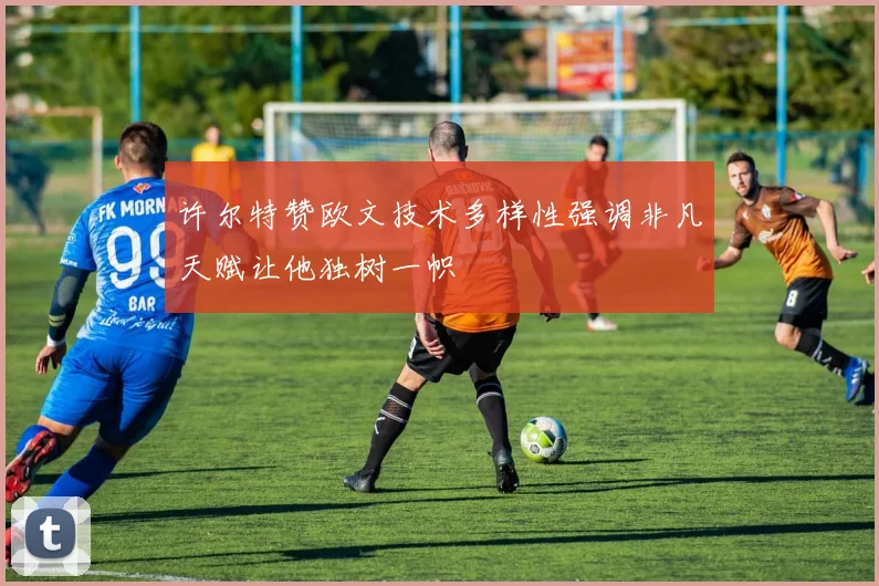 许尔特赞欧文技术多样性强调非凡天赋让他独树一帜